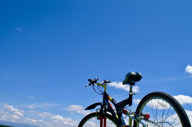 Recommendation of rental cycle